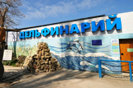 Где находится лучший дельфинарий в Крыму